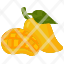 mangofruit-food-organic-vegan-healthy-diet-vegetarian-restaurant-icon