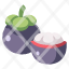 mangosteen-agriculture-fresh-healthy-food-fruit-bunch-icon