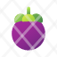 mangosteen-healthy.fruit-icon