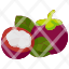 mangosteenfruit-food-organic-vegan-healthy-diet-vegetarian-restaurant-icon