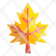 maple-leaf-autumn-botanical-icon