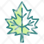 maple-leaf-autumn-botanical-icon