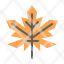maple-leaf-fall-autumn-plant-icon