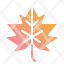 maple-leaf-plant-autumn-fall-icon