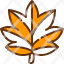 maple-leafautumn-fall-leaf-plant-garden-nature-botanical-icon