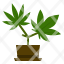 marijuana-plant-cannabis-hemp-weed-icon
