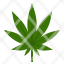 marijuana-sativa-cannabis-weed-medical-hemp-icon