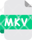 matroska-multimedia-container-icon
