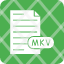 matroska-multimedia-container-icon