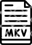 matroska-multimedia-container-icon
