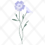 meadow-cranesbill-plant-nature-icon