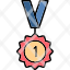 medal-achievement-award-favorite-prize-icon