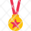 medal-award-prize-star-badge-icon