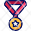 medal-rank-winner-reward-achievement-icon