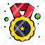 medal-reward-star-badge-icon