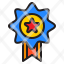 medal-reward-wining-star-award-icon