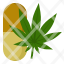 medical-marijuana-capsule-drug-medicine-cannabis-icon
