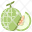 melon-agriculture-fresh-healthy-food-fruit-bunch-icon