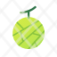 melon-healthy.fruit-icon