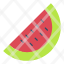 melon-summer-fruit-water-icon
