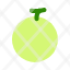 melon-water-healthy-icon