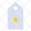 military-one-rank-star-tag-icon