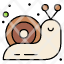 mollusc-slow-slug-snail-spiral-season-icon