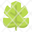 montsera-spring-season-nature-leaf-plant-icon