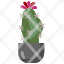 moon-cactusnature-farming-gardening-botanical-dessert-dry-plant-icon