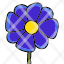 morning-glory-flower-spring-gardening-plant-icon