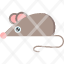 mouse-icon