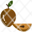 mud-apples-fruit-noseberry-chikoo-sapodilla-icon