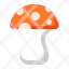 mushroom-fruits-vegetables-food-vegetarian-icon