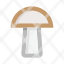 mushroom-fungus-fungi-vegetable-food-forest-cooking-icon