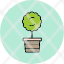myrtus-myrtusmanuka-botanical-flower-plant-grow-icon-icon