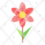 narcissus-blossom-flower-jonquil-plant-icon