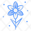 narcissus-blossom-flower-jonquil-plant-icon