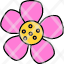 nasturtium-flower-blossom-floral-nature-icon
