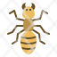 nature-ant-insect-bug-termite-icon