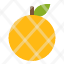 nature-orange-icon