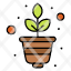 nature-plant-science-growth-icon