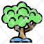 nature-tree-forest-plant-pine-icon