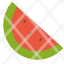 nature-watermelon-icon