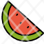 nature-watermelon-icon