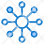 network-neuron-web-icon