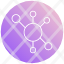 network-nodes-network-topology-connection-computer-network-icon