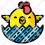 new-born-chicken-animal-chick-easter-egg-icon