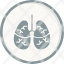 no-smoking-quit-damage-lungs-organ-smoke-icon