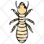 nymph-termite-pest-insect-animal-icon
