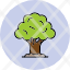 oak-oaktree-generic-tree-shrub-icon